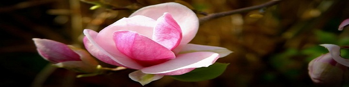 Positive Psychology